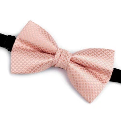 Papion dublu in cutie - Roz pudrat (1 Bucată)