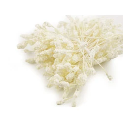 Pistile flori - Crem deschis (1 Buchet)