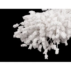 Pistile flori - Alb (1 Buchet)