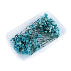 Voalul miresei uscat/stabilizat pentru aranjamente florale - Bleu turcoaz (1 Cutie)