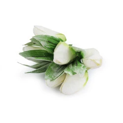 Lalea artificială pe sârmă, stil vintage - Alb (6 Bucăți)