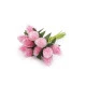 Căpșuni artificiale înghețate - Roz (1 Buchet)