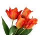 Buchet de lalele artificiale - Roșu scarlet (1 Bucată)