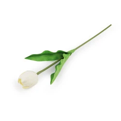 Lalea artificială lungă - Crem foarte deschis (1 Bucată)