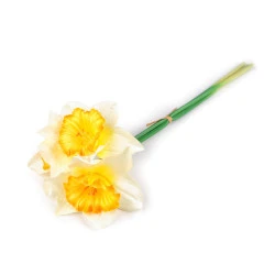 Buchet narcise artificiale de 3 buc - Galben pal (1 Buchet)