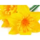 Buchet narcise artificiale de 3 buc - Galben pal (1 Buchet)