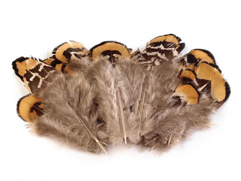 Pene decorative fazan, lungime 4.5-8.5 cm (pachet 10 buc.) - natural Pene decorative fazan, lungime 4.5-8.5 cm (pachet 10 buc.) - natural