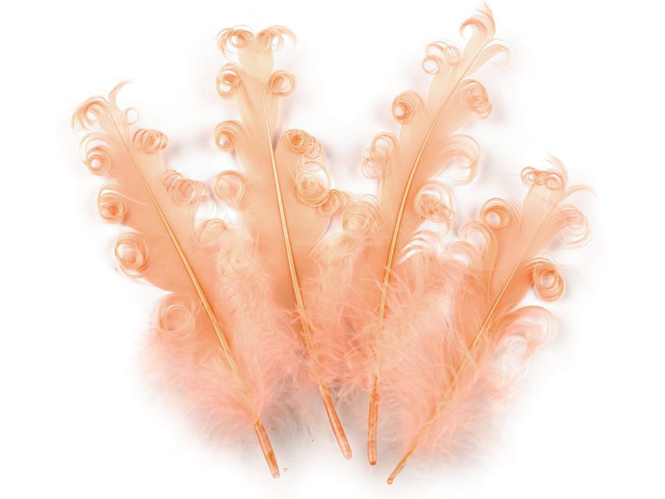 Pene crețe de găscă, lungime 12-18 cm (pachet 4 buc.) - roz somon deschis Pene crețe de găscă, lungime 12-18 cm (pachet 4 buc.) - roz somon deschis