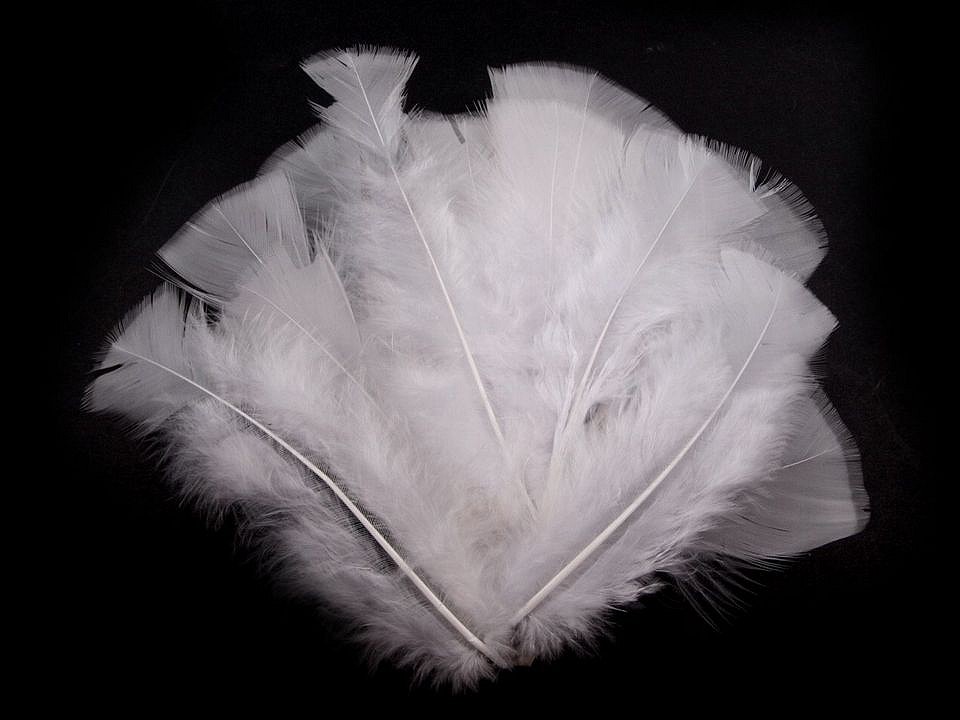 Pene decorative de curcă, lungime 11-17 cm (pachet 20 buc.) - alb Pene decorative de curcă, lungime 11-17 cm (pachet 20 buc.) - alb