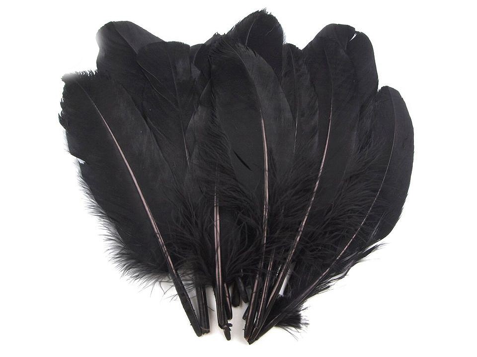 Pene decorative de gâscă, lungime 15-21 cm (pachet 5 buc.) - negru Pene decorative de gâscă, lungime 15-21 cm (pachet 5 buc.) - negru