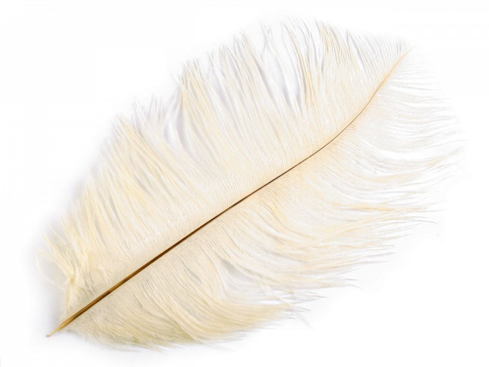 Pene decorative struț, lungime cca. 20-25 cm (pachet 2 buc.) - crem foarte deschis Pene decorative struț, lungime cca. 20-25 cm (pachet 2 buc.) - crem foarte deschis