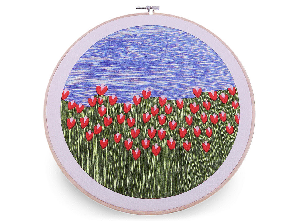 Set pentru brodat cu model imprimat - Conform imaginii (1 Set)