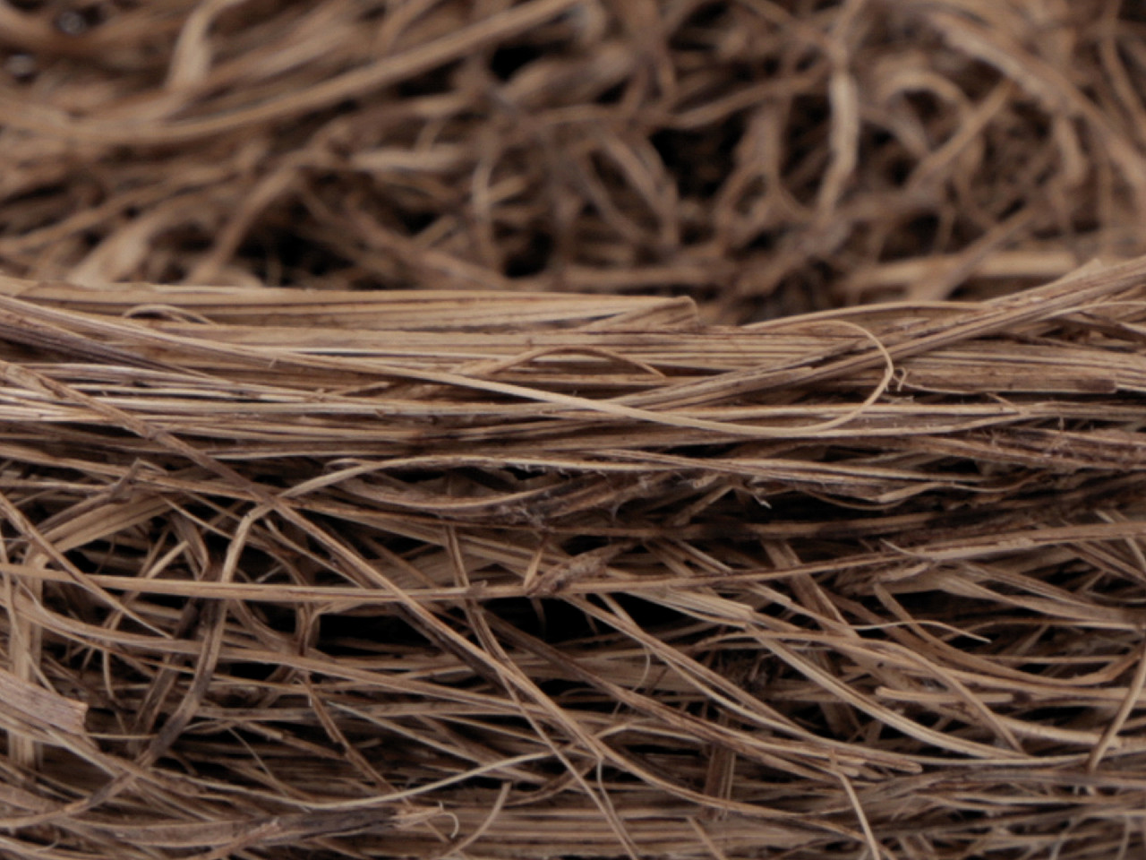 Cuib din răchită ø11 cm - Maro natural (1 Bucată)