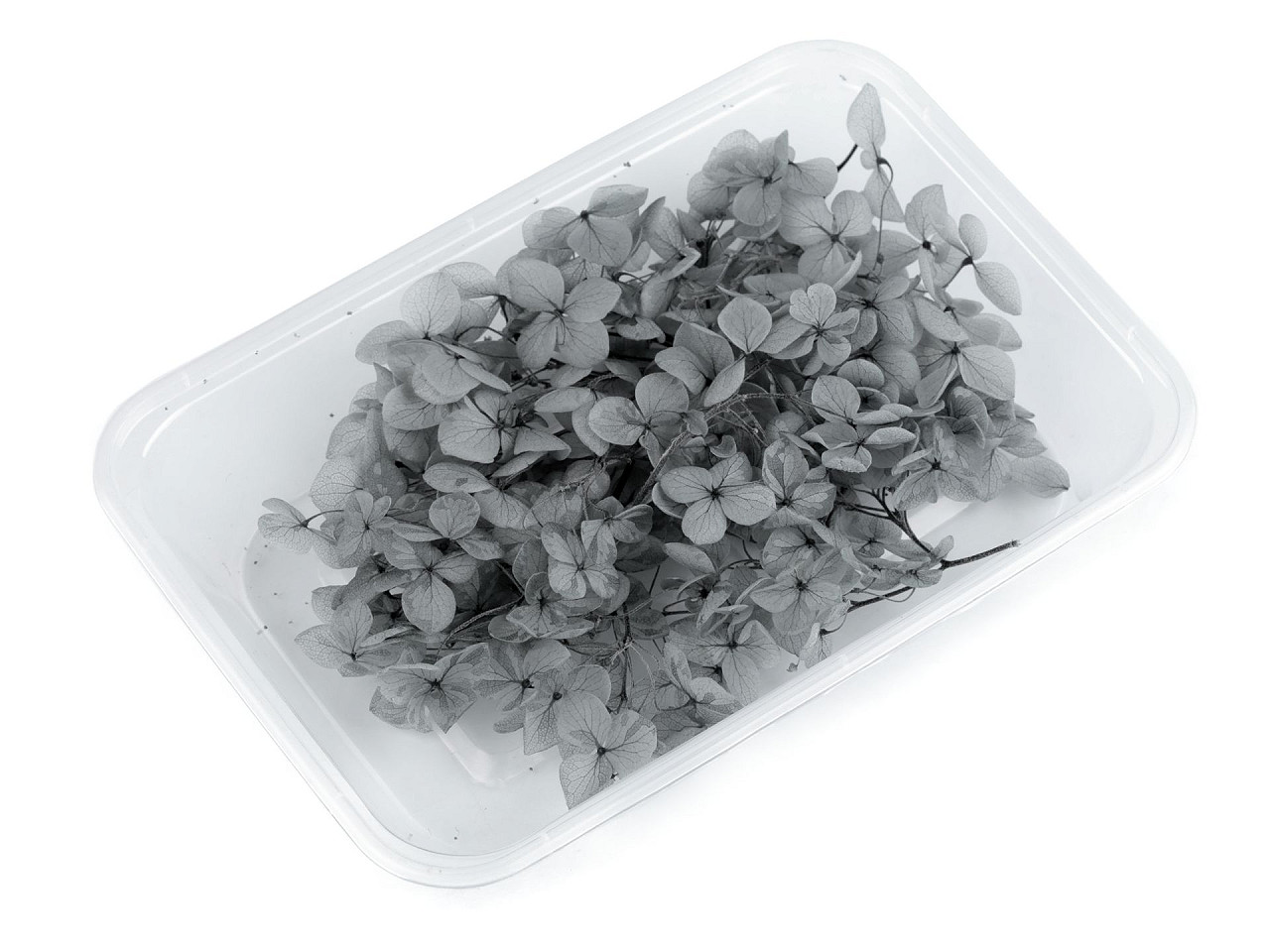 Hortensii uscate/stabilizate pentru aranjamente florale - Mov liliachiu (1 Cutie)