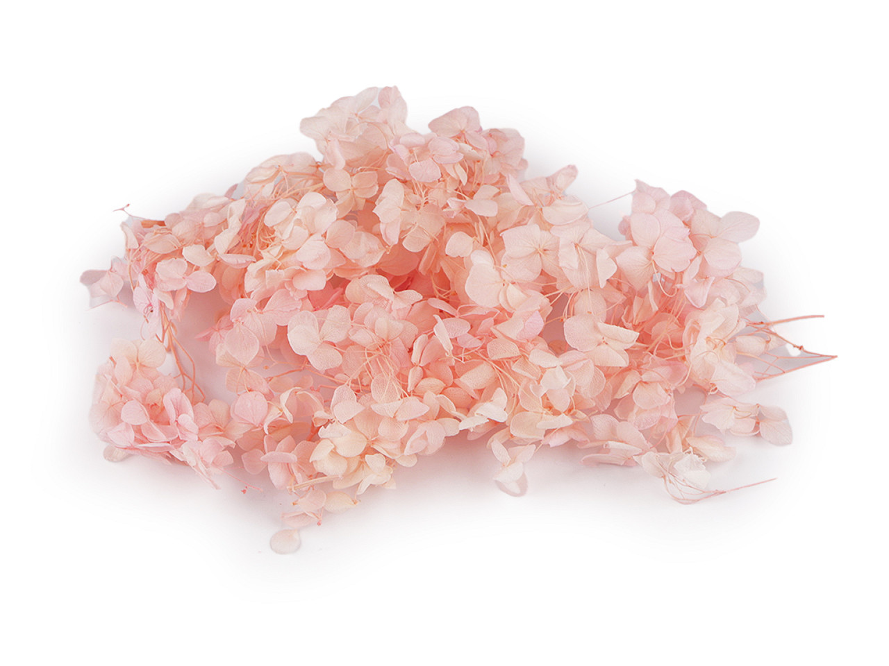 Hortensii uscate/stabilizate pentru aranjamente florale - Mov liliachiu (1 Cutie)