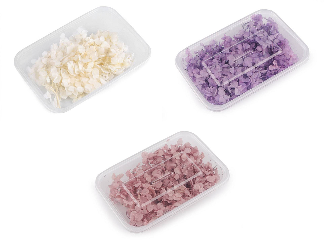 Hortensii uscate/stabilizate pentru aranjamente florale - Mov liliachiu (1 Cutie)