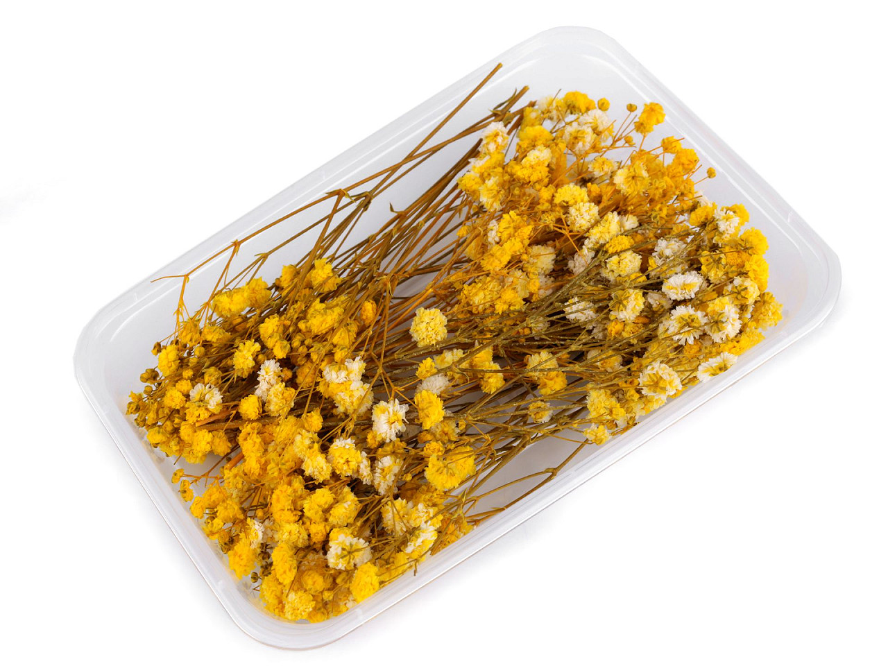 Voalul miresei uscat/stabilizat pentru aranjamente florale - Bleu turcoaz (1 Cutie)