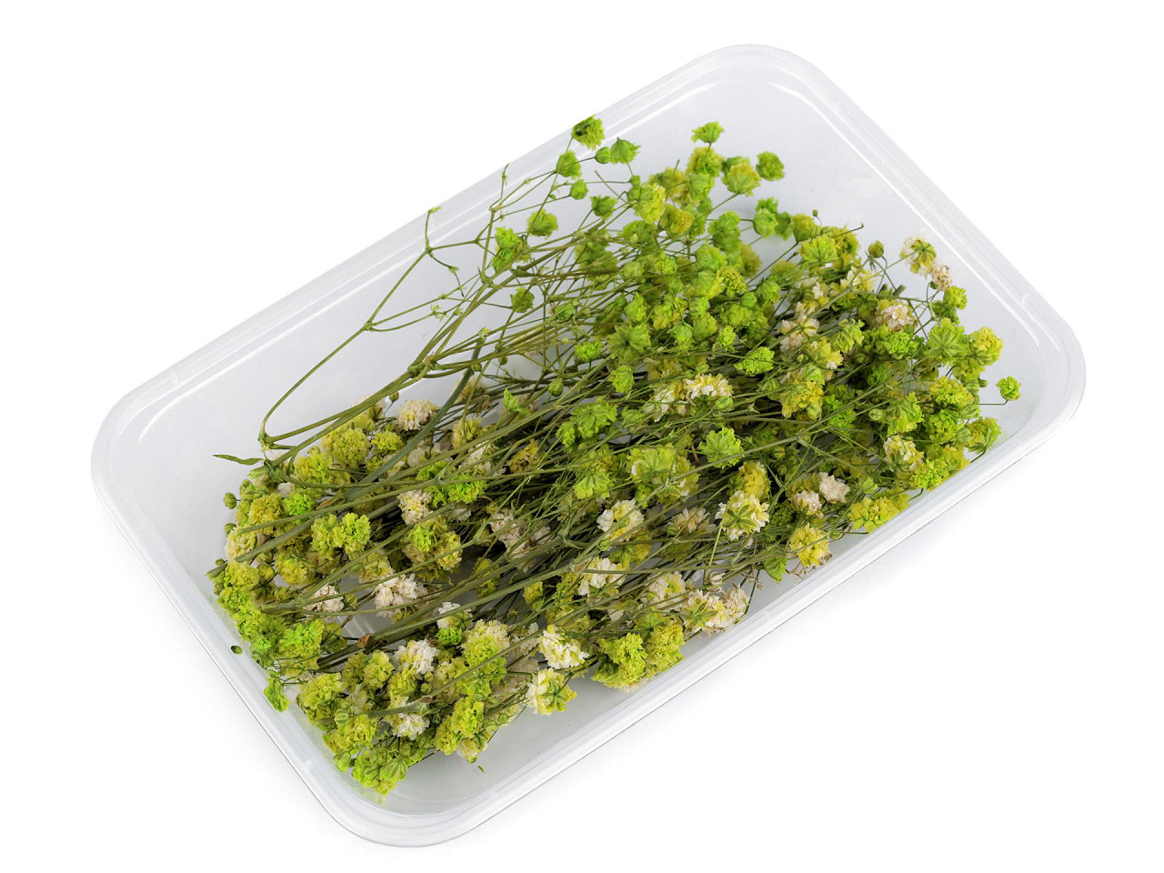 Voalul miresei uscat/stabilizat pentru aranjamente florale - Bleu turcoaz (1 Cutie)