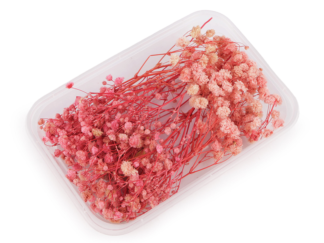 Voalul miresei uscat/stabilizat pentru aranjamente florale - Bleu turcoaz (1 Cutie)